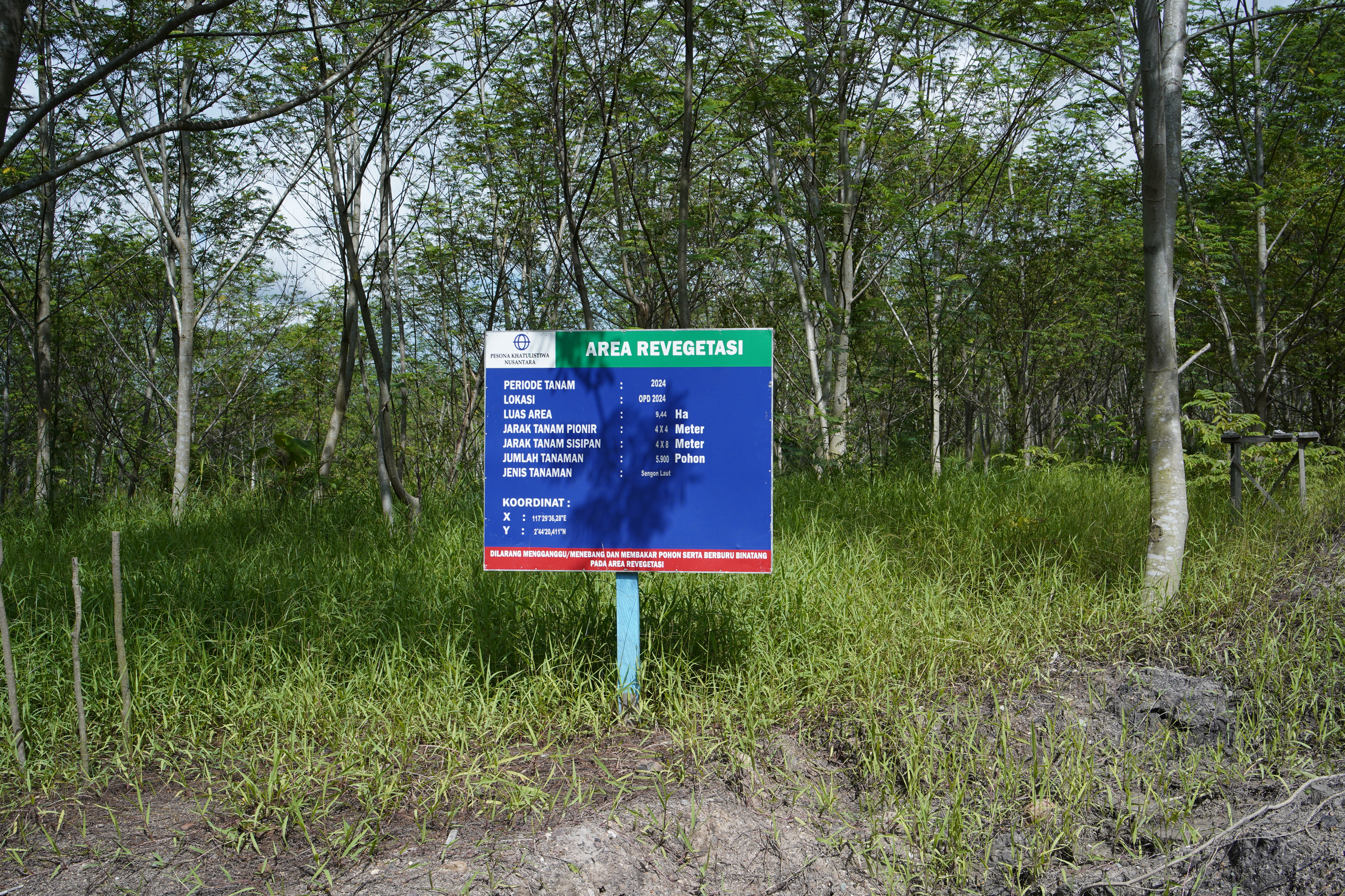 Reklamasi, Revegetasi dan Pascatambang